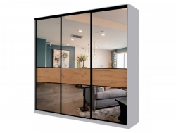 Шкаф-купе Max МШ-25-6-24/2-666